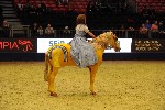 Quadrille - 00621